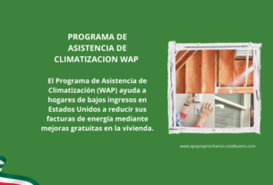 PROGRAMA WAP